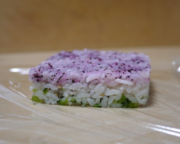 mosaiczushi8