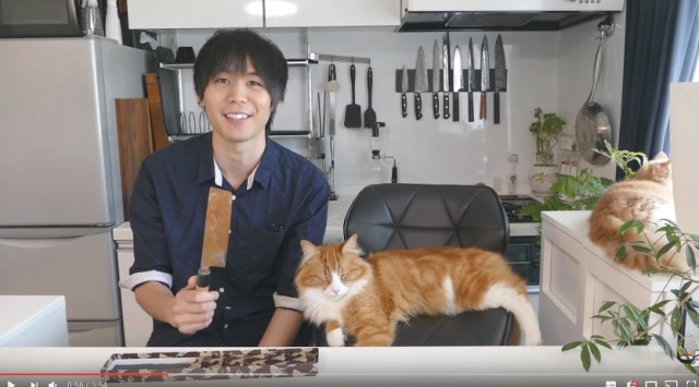 ボロボロに錆びた包丁を鏡のように蘇らせるイケメン動画が大人気 / 猫が見守っている姿もキャワユイです